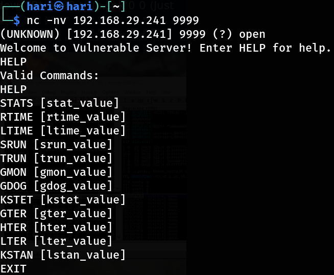 Netcat